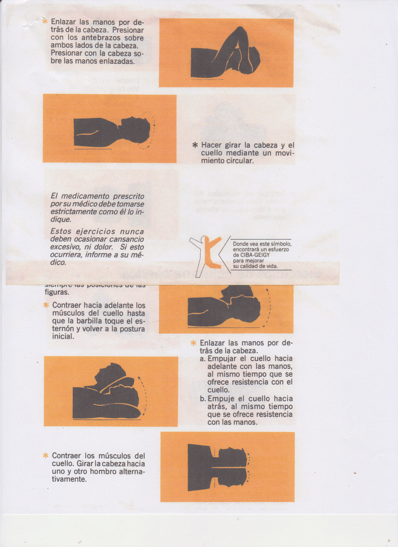 Cuello Cervical